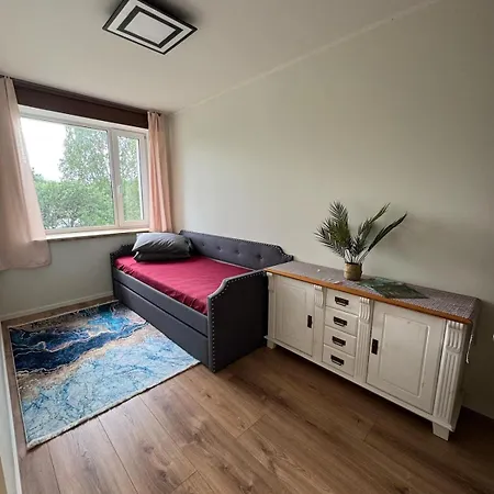 Modern In